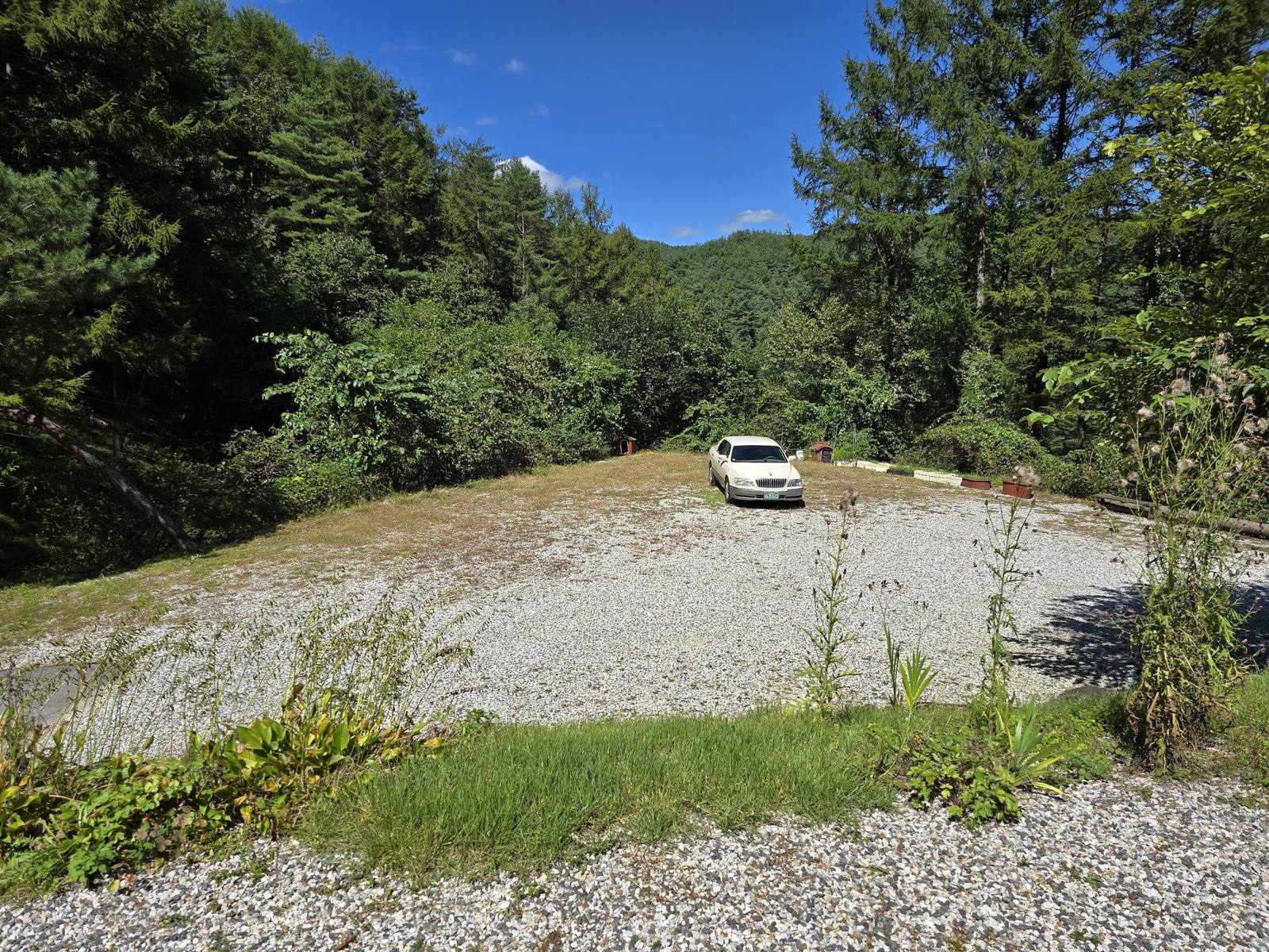 대담얼라이언스 대표