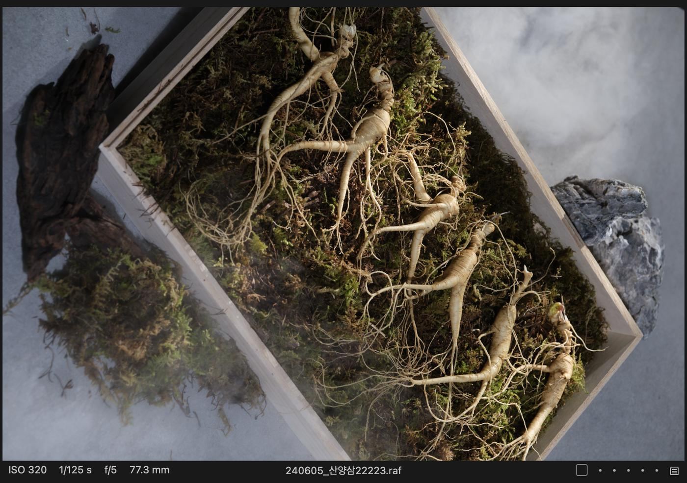 minimalist glass bottles of liquid ginseng extract on a stone pedestal with elegant lighting